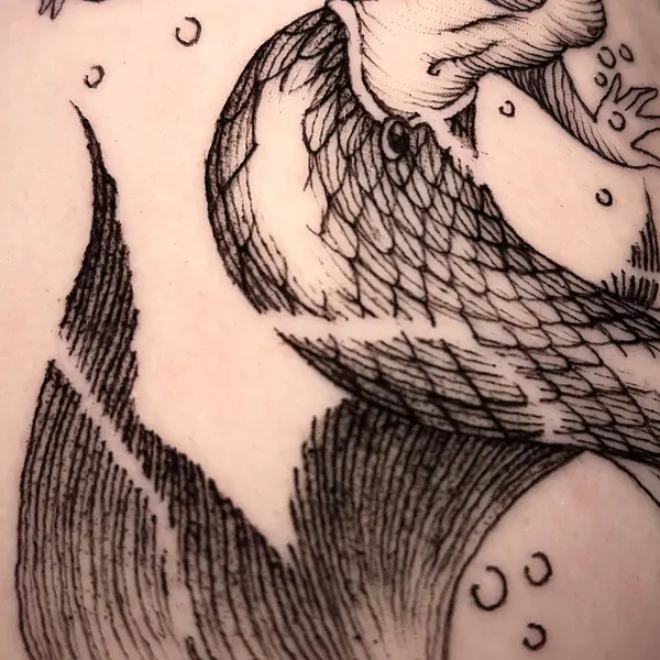 세이렌, 인어, Dragon