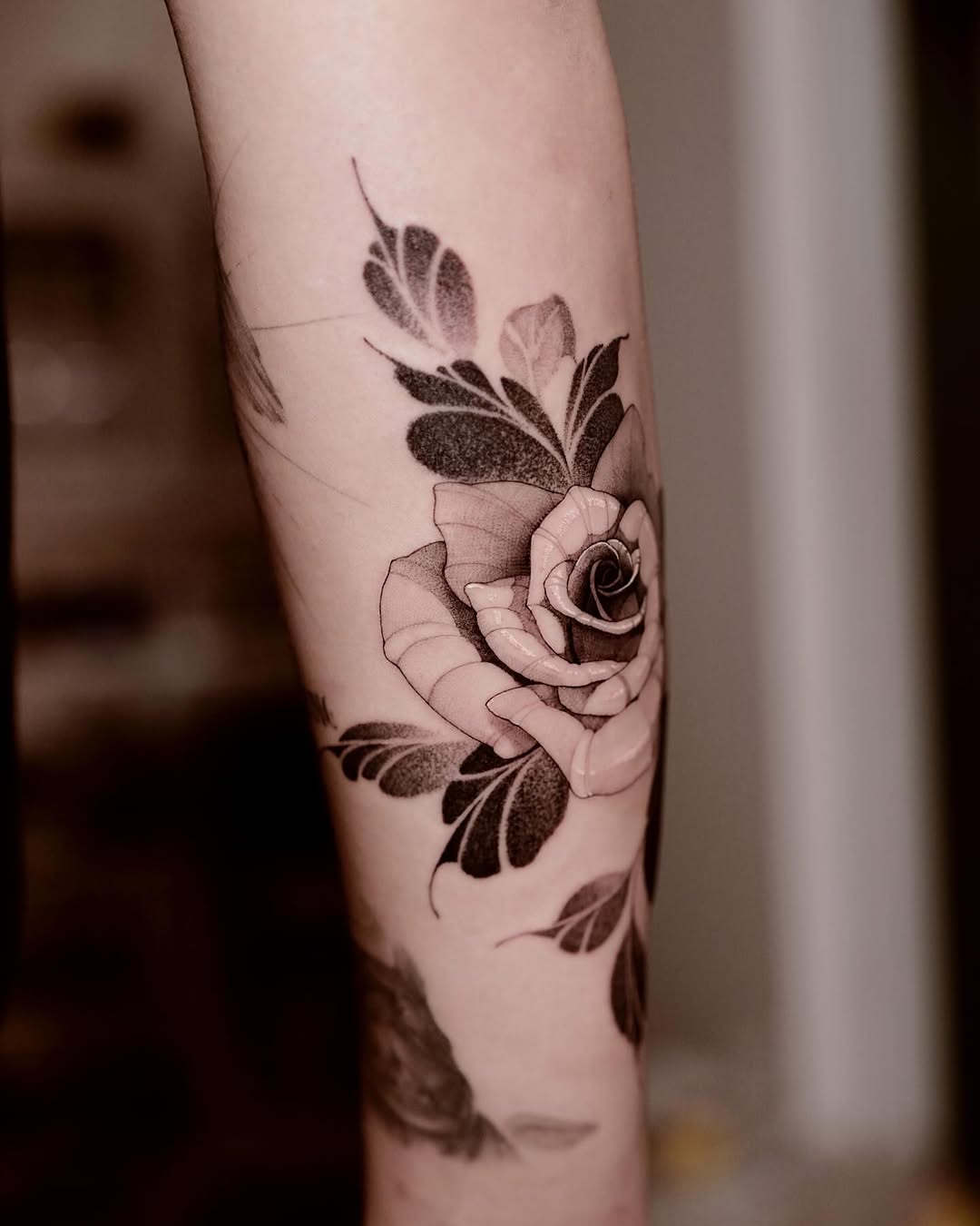 Flower, Rose