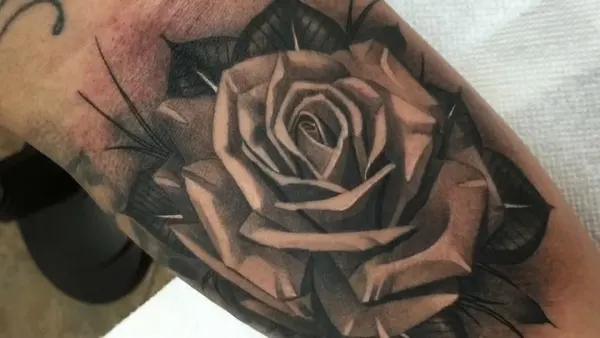 Flower, Rose