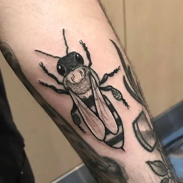 Animal