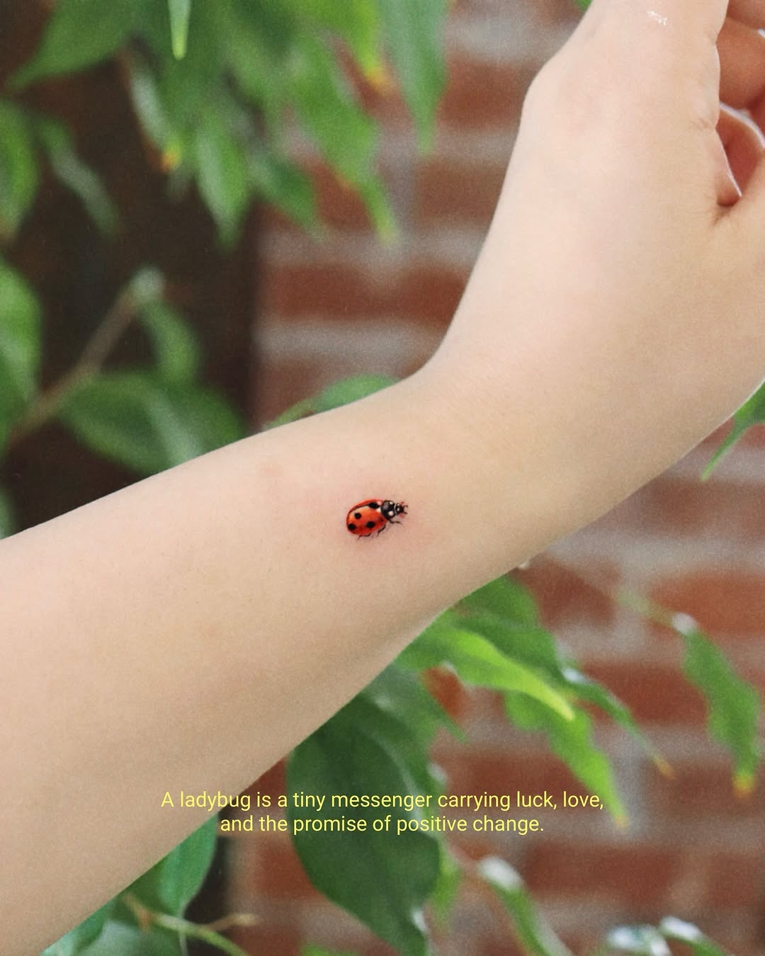 Flower, Mini