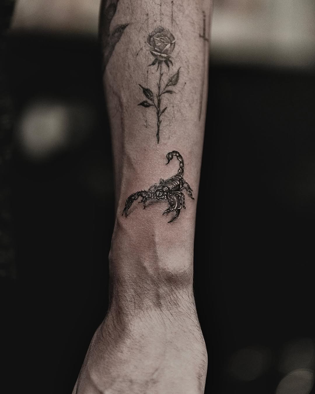 romeolacoste