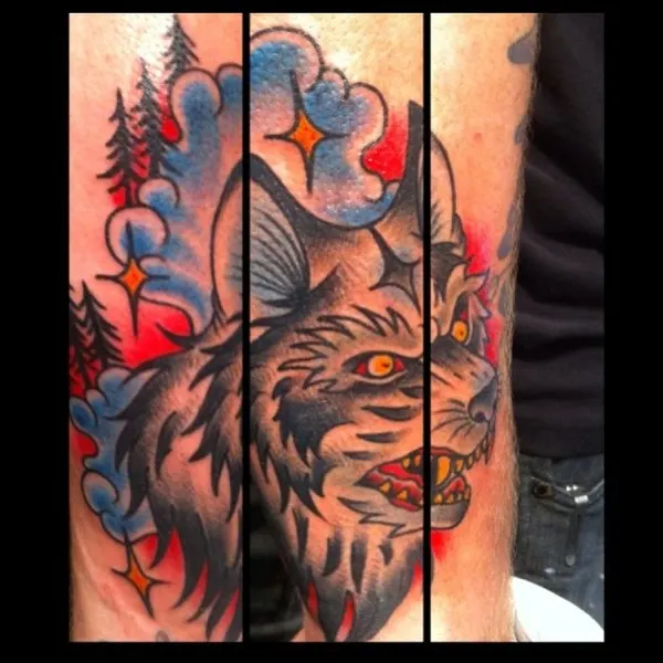 Tiger, Animal