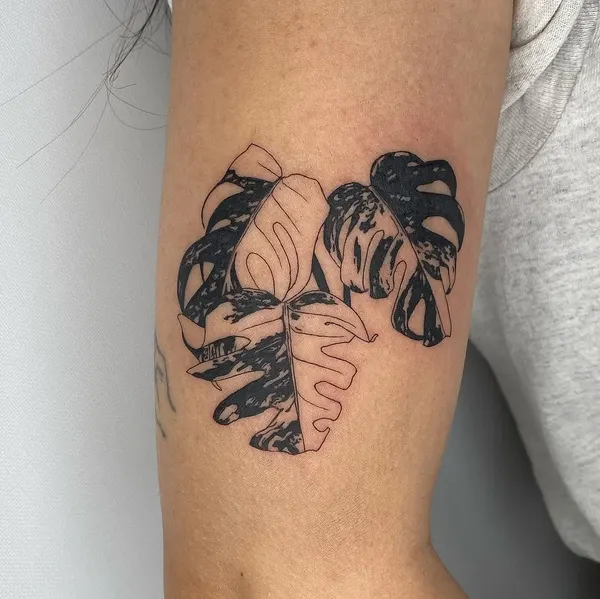 plantsnpokes