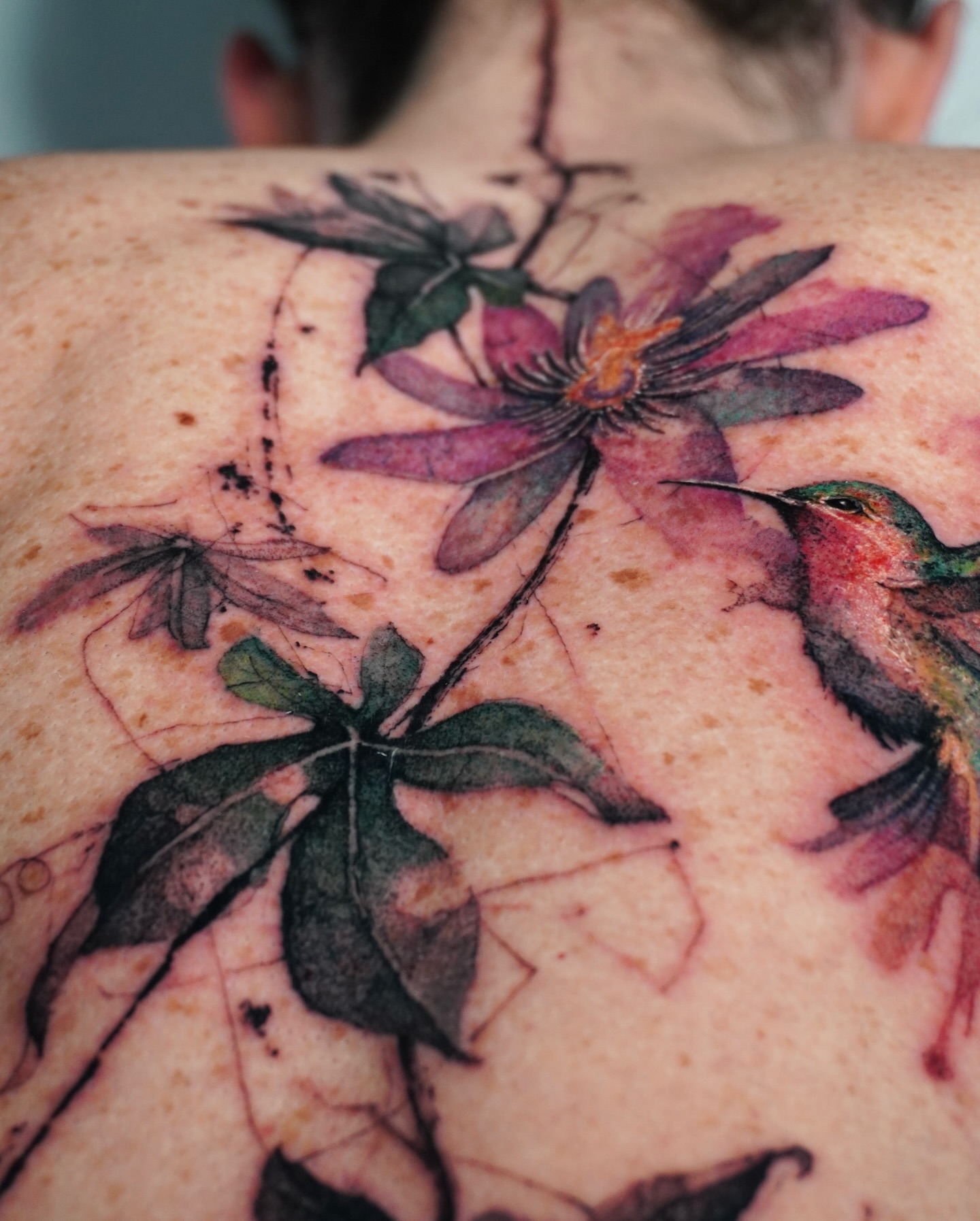Flower, Nature, Rose