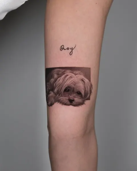 Animal
