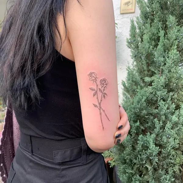 Flower, Rose, Nature
