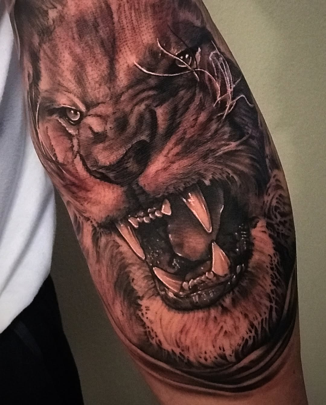 Tiger