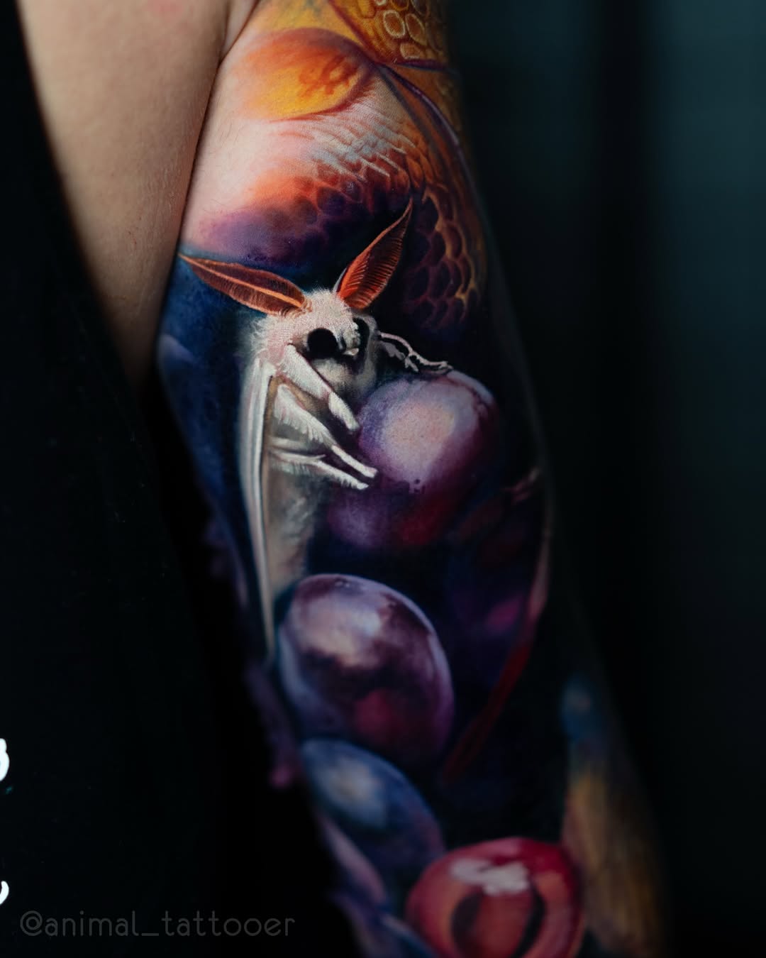 animal_tattooer