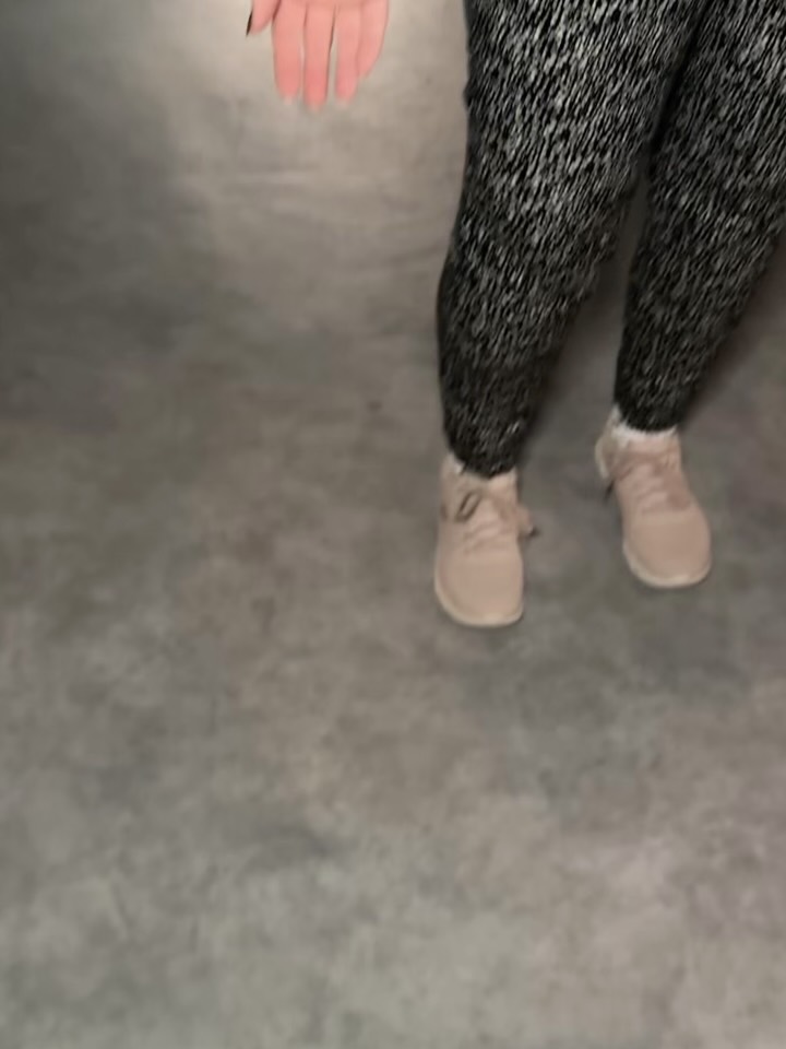 반려동물