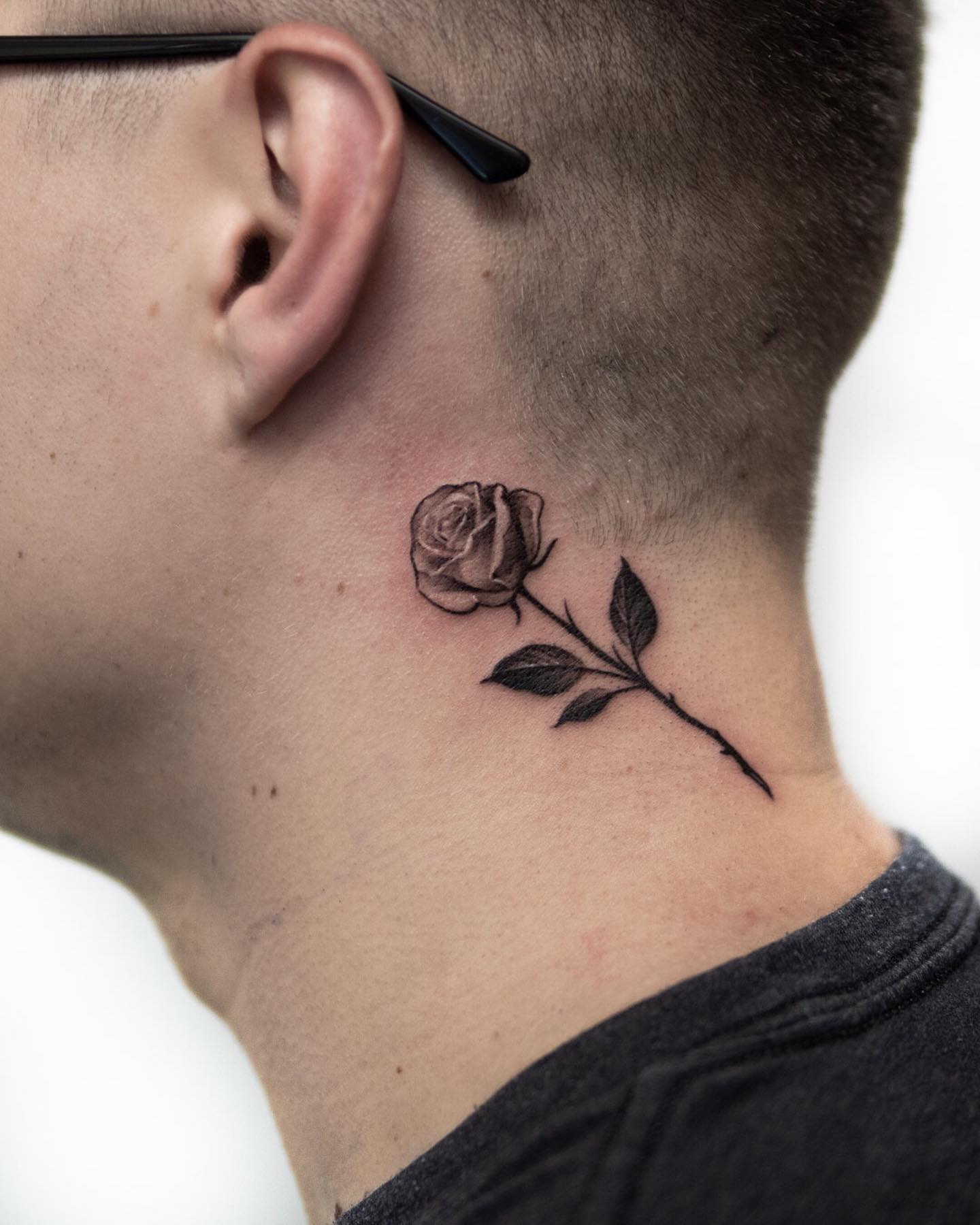 Rose, Flower