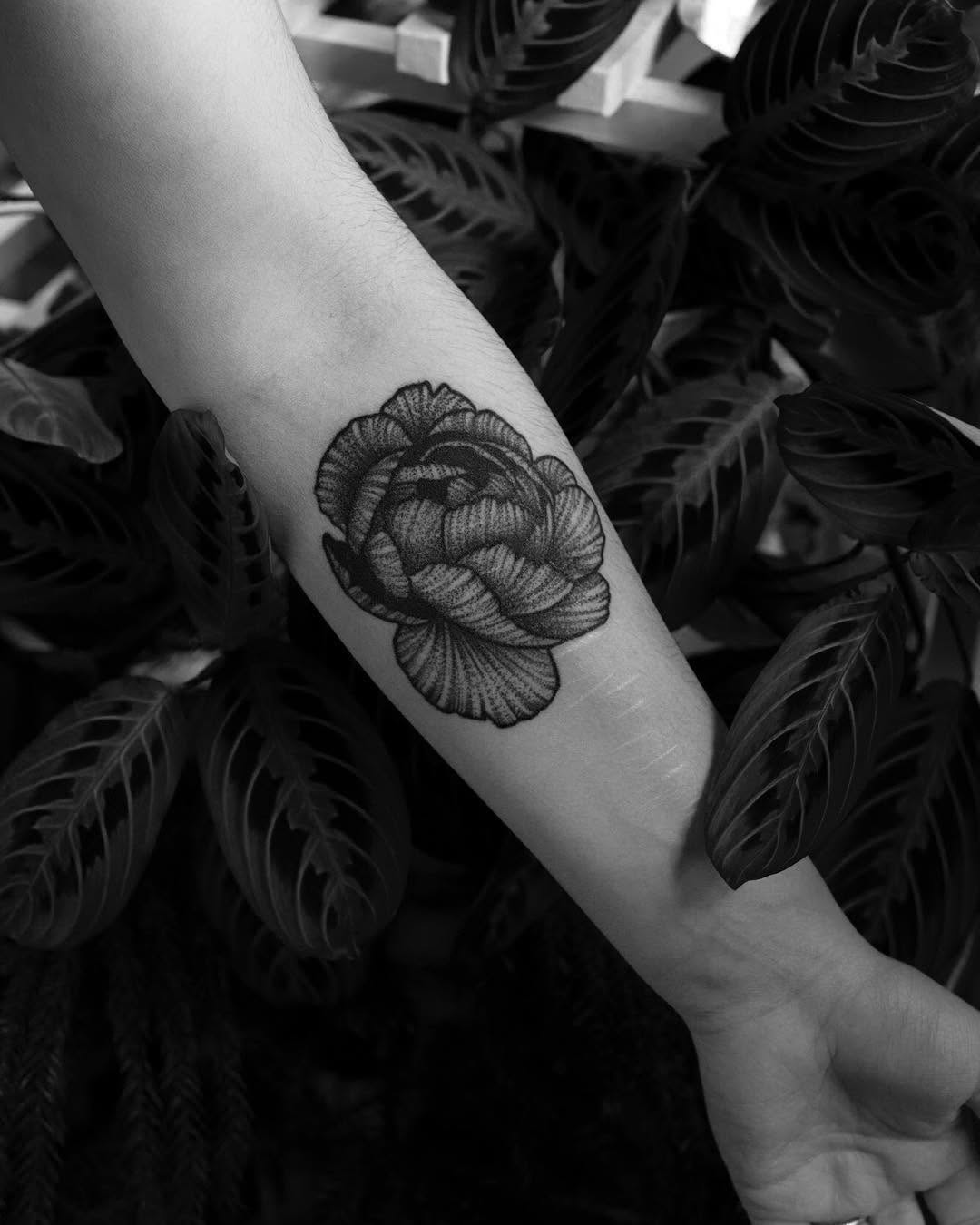 Flower, Rose