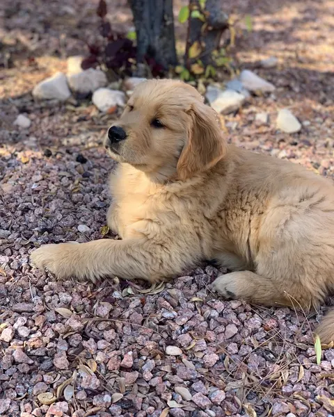 James Strickland