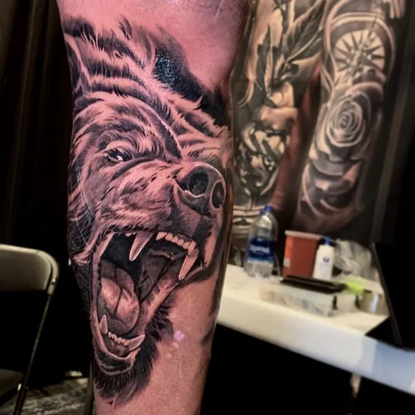 Animal