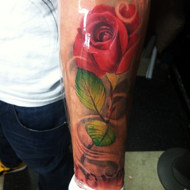 Flower, Rose