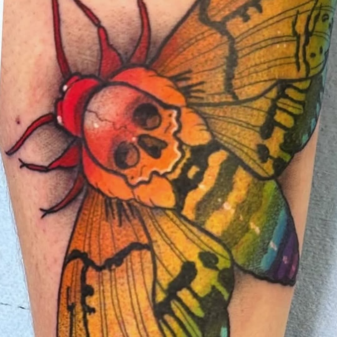 sarastigmata
