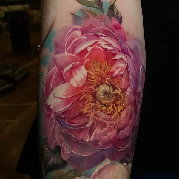 Flower, Rose