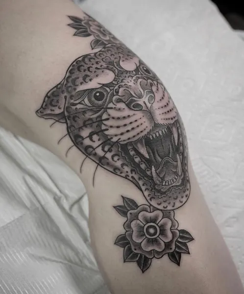 Tiger, Animal