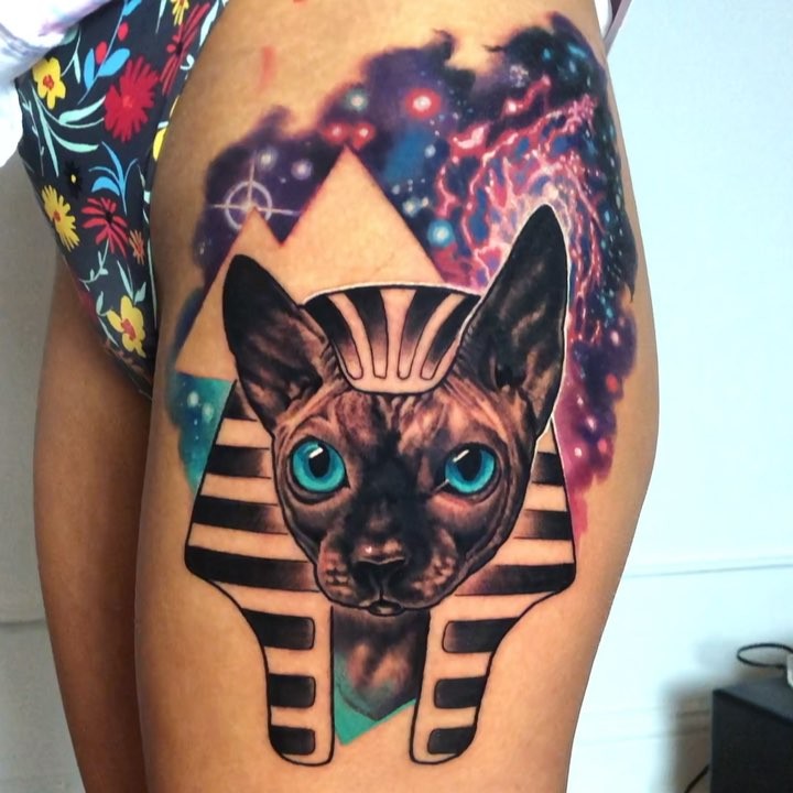 Animal