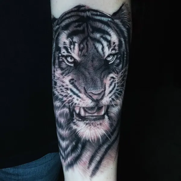 Tiger, 한국 호랑이, 중국 호랑이
