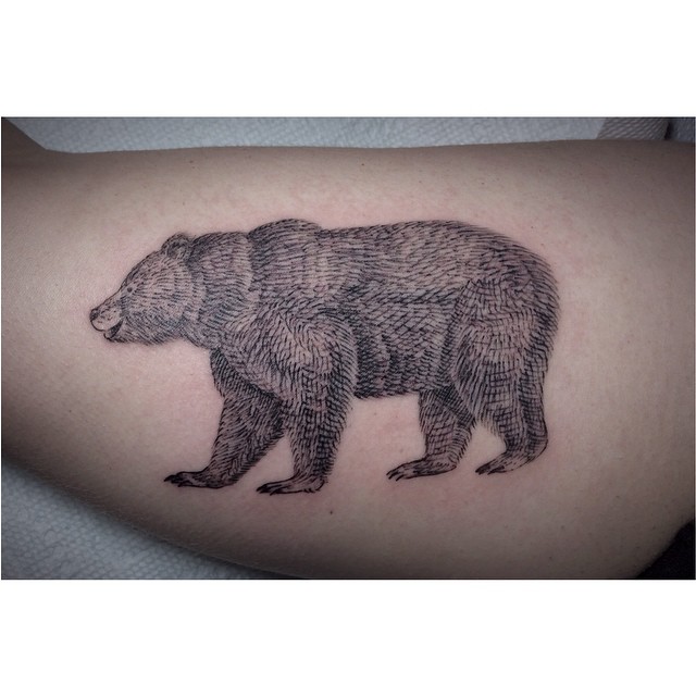 Animal