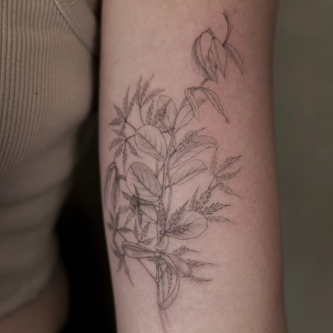 Rose, Flower