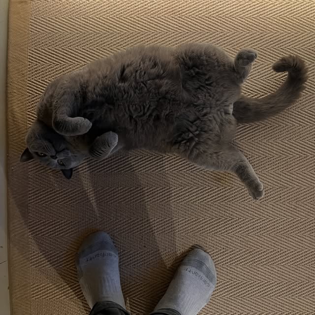 천둥