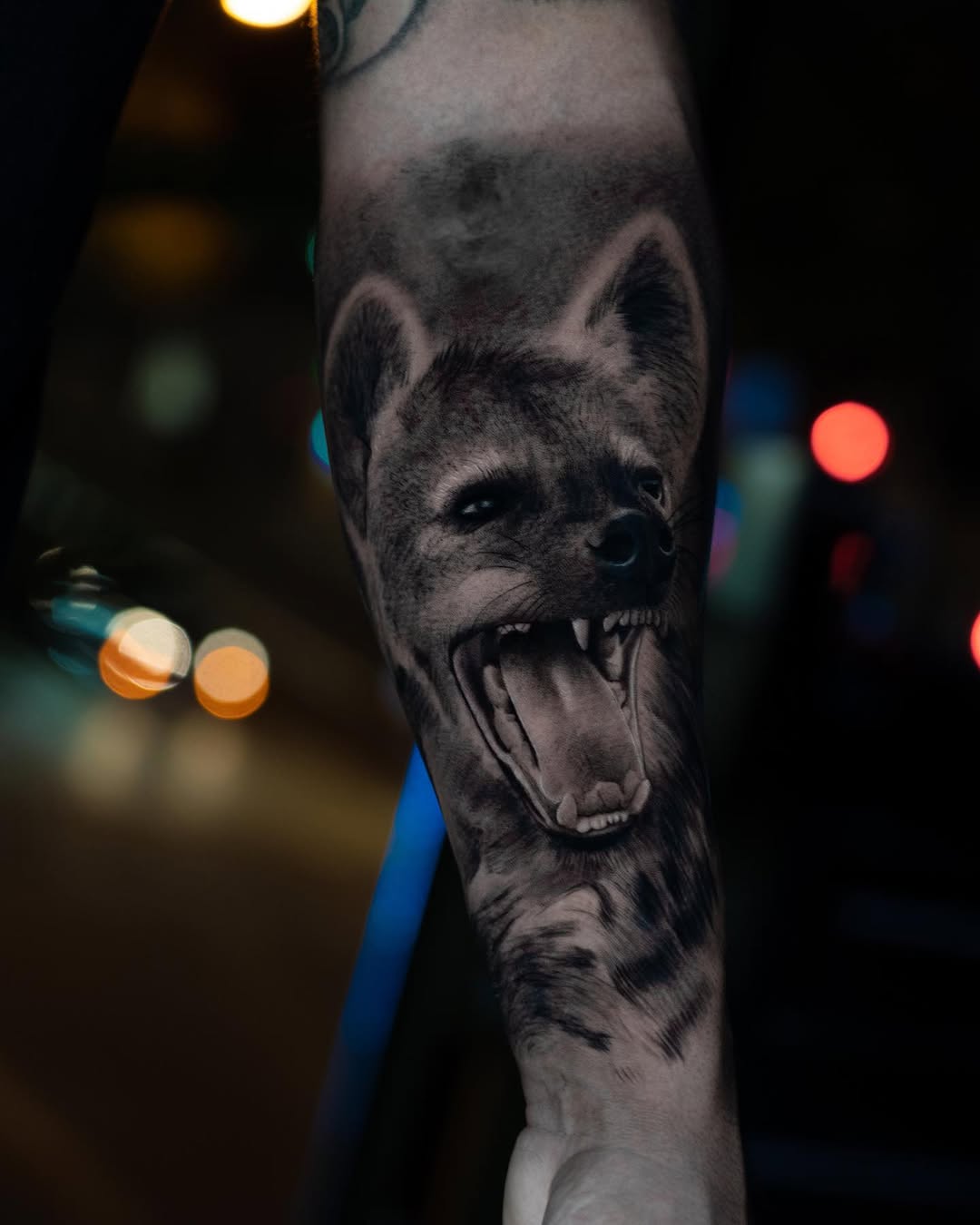 Animal, Tiger