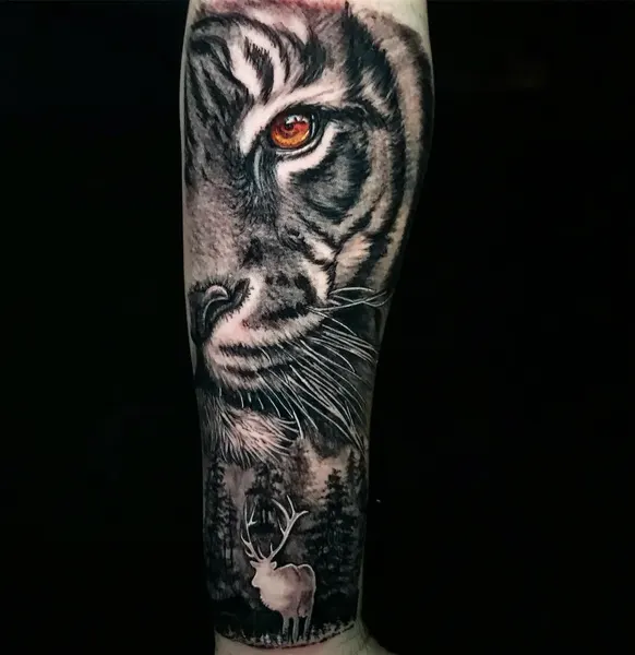 Tiger