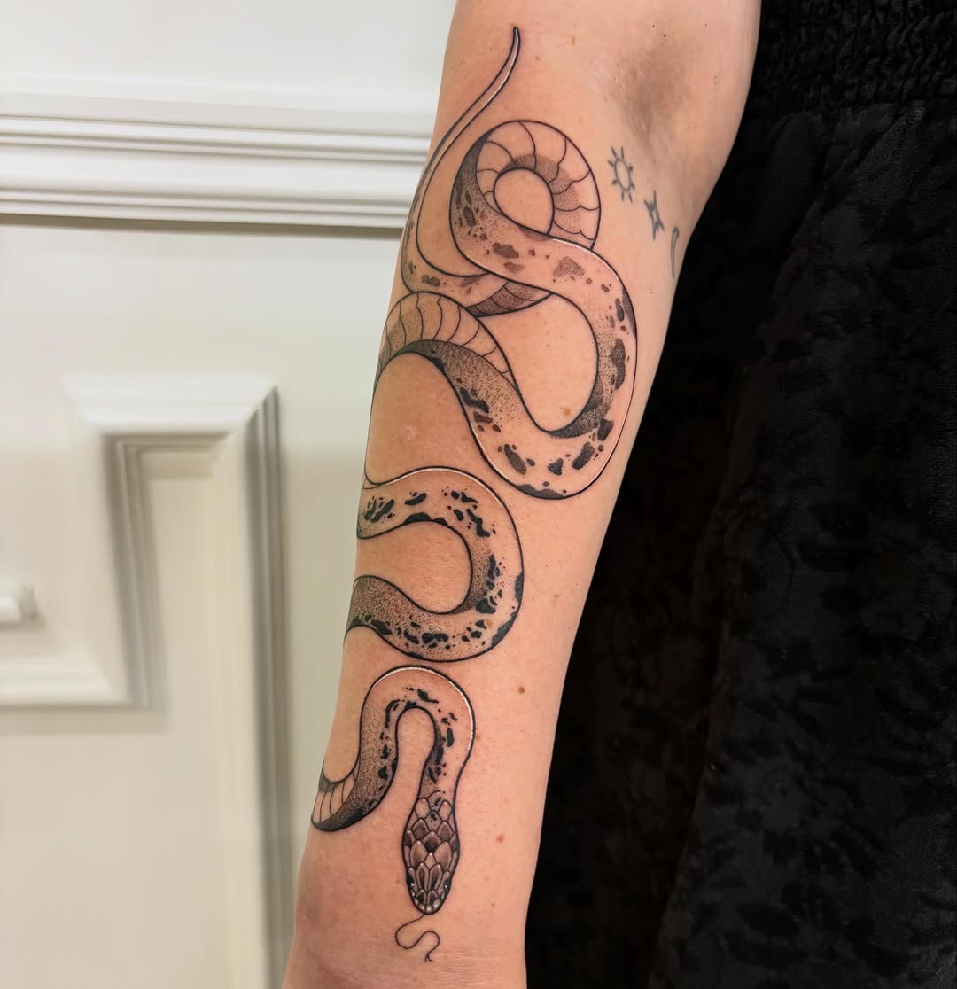 Dragon, Snake