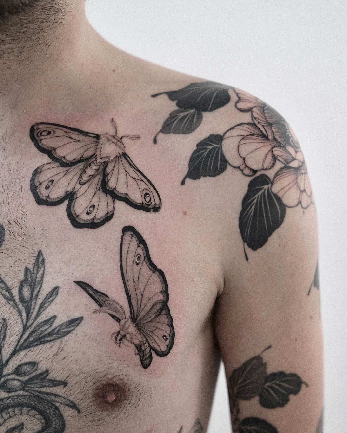 Flower, Rose, Nature