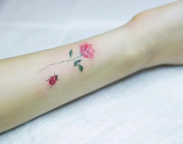 Flower, Rose, Mini
