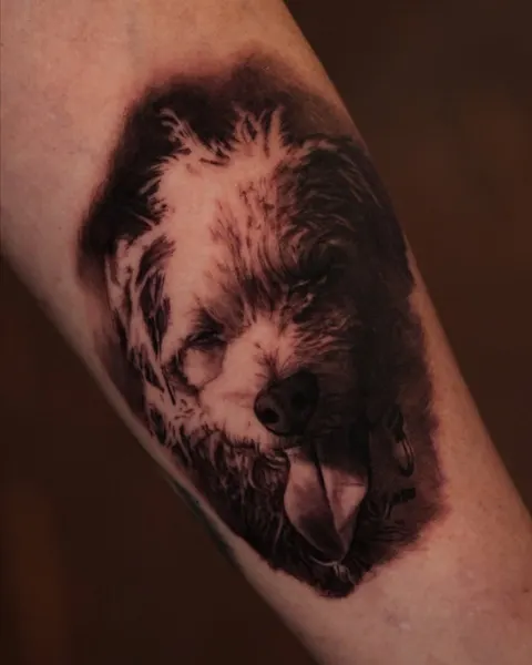 Animal