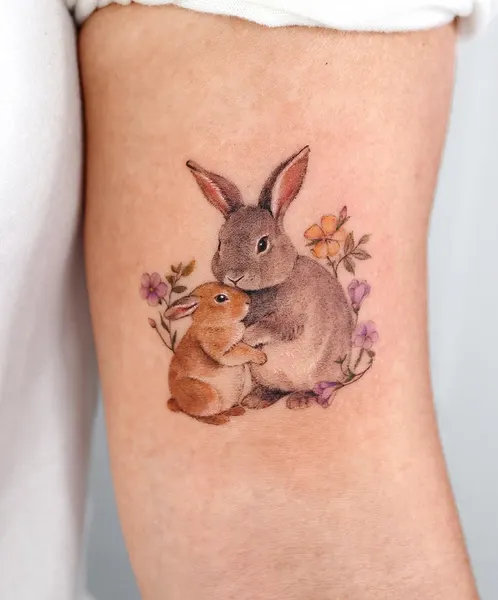 토끼, Animal