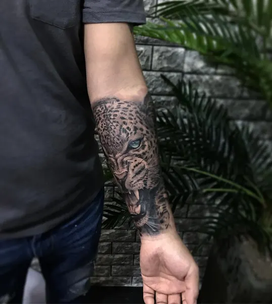 Animal, Tiger