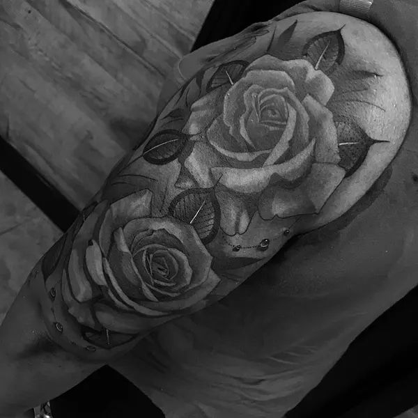 Flower, Rose, Nature