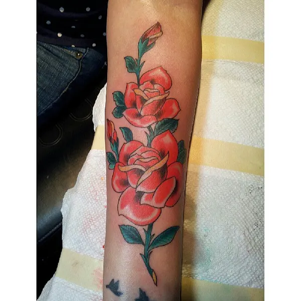 Flower, Rose
