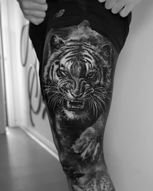 Tiger, 한국 호랑이, 중국 호랑이
