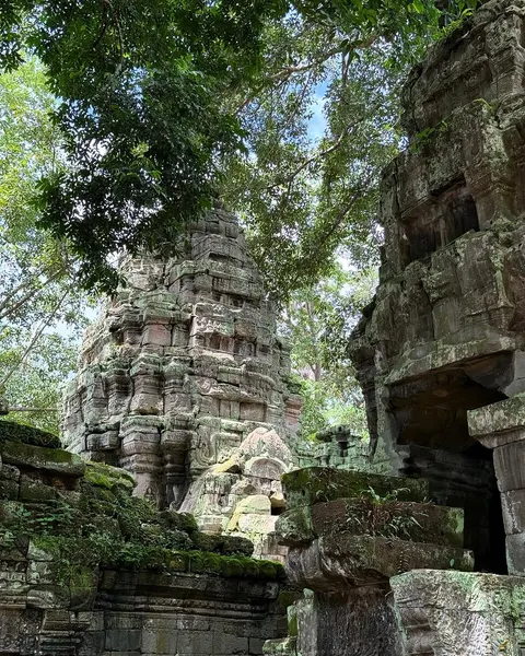 andypho