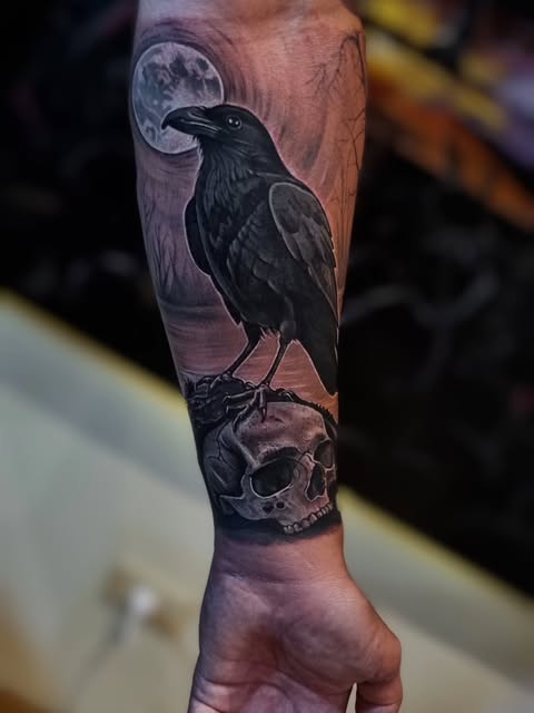 Animal