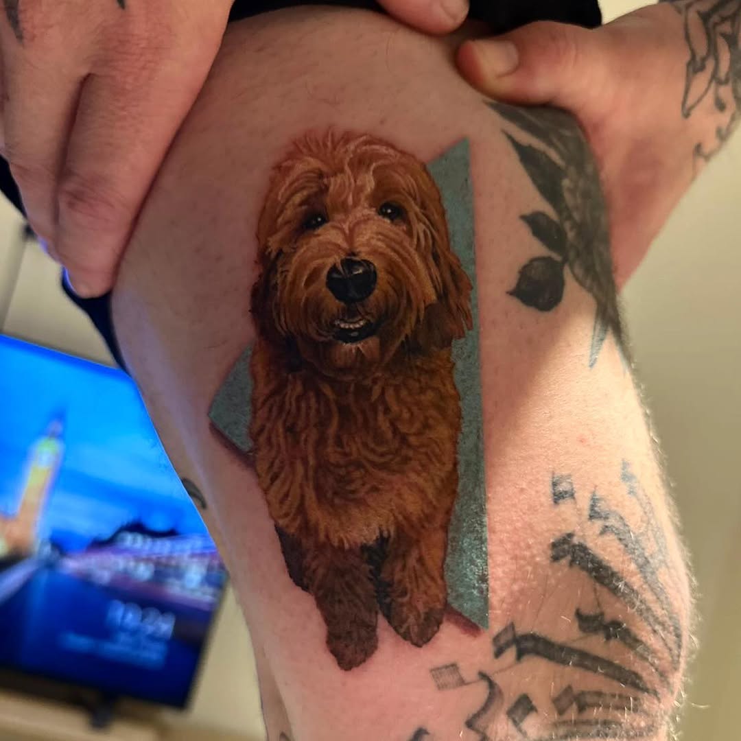 Animal