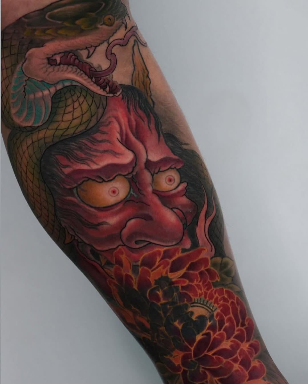 Dragon, Animal
