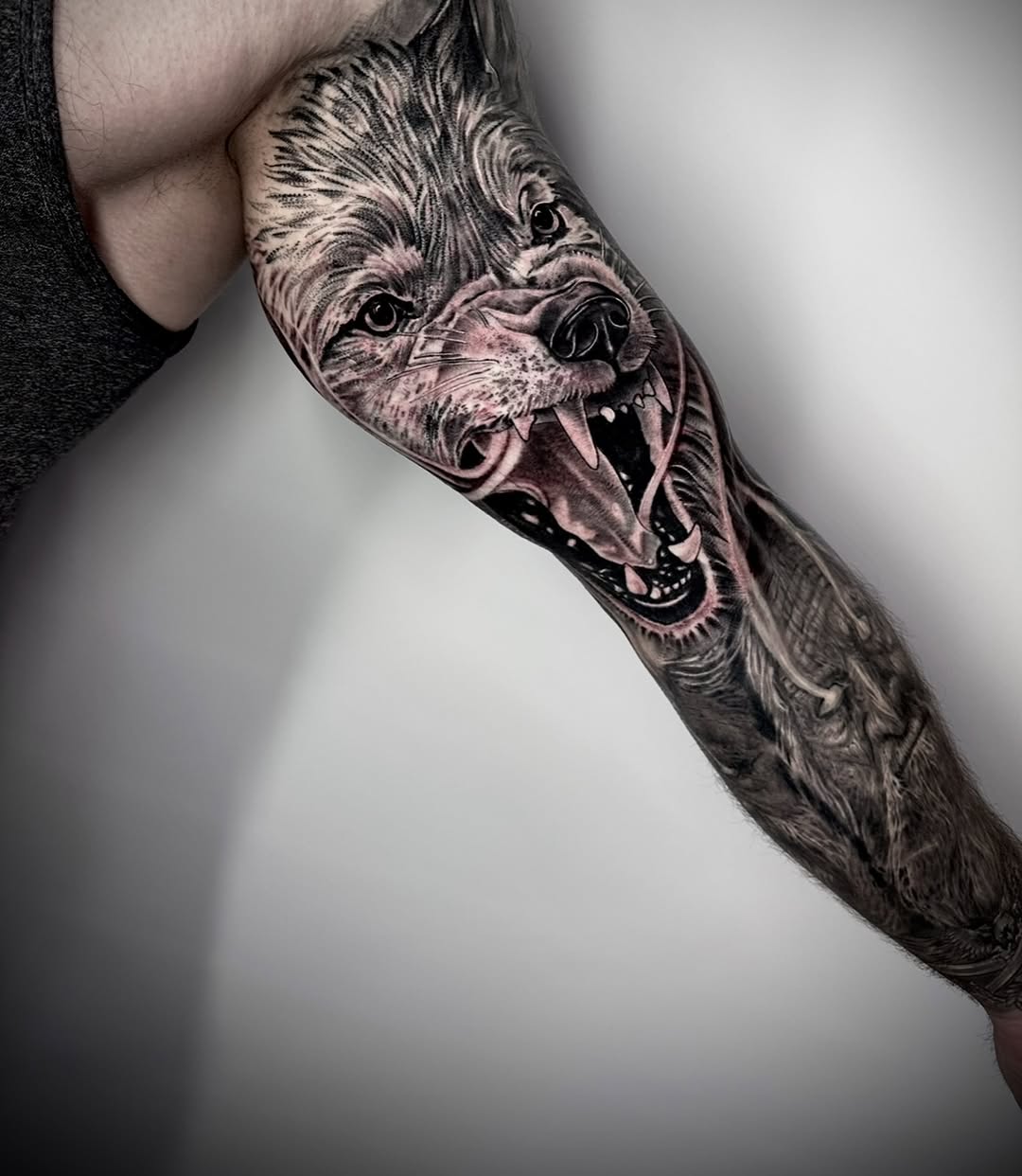Animal, Tiger