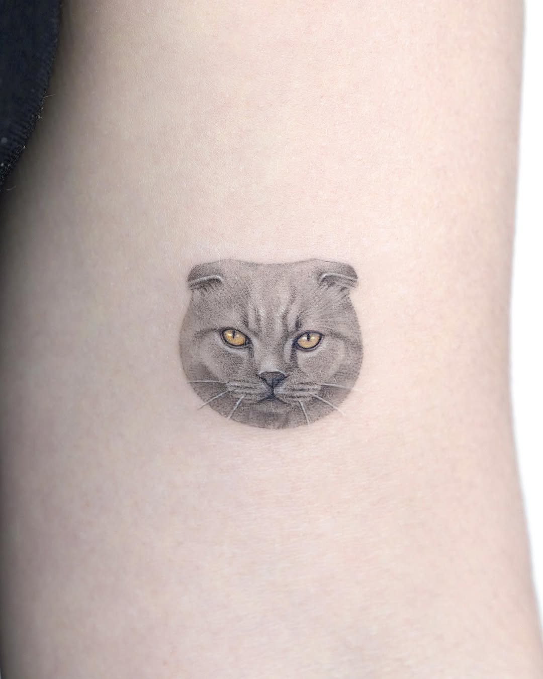 dorok.tattoo