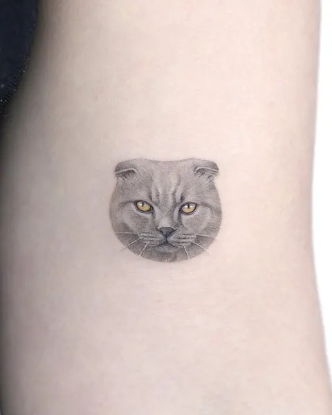 텐구, 고양이, 여우 가면, 함사, 마네키네코