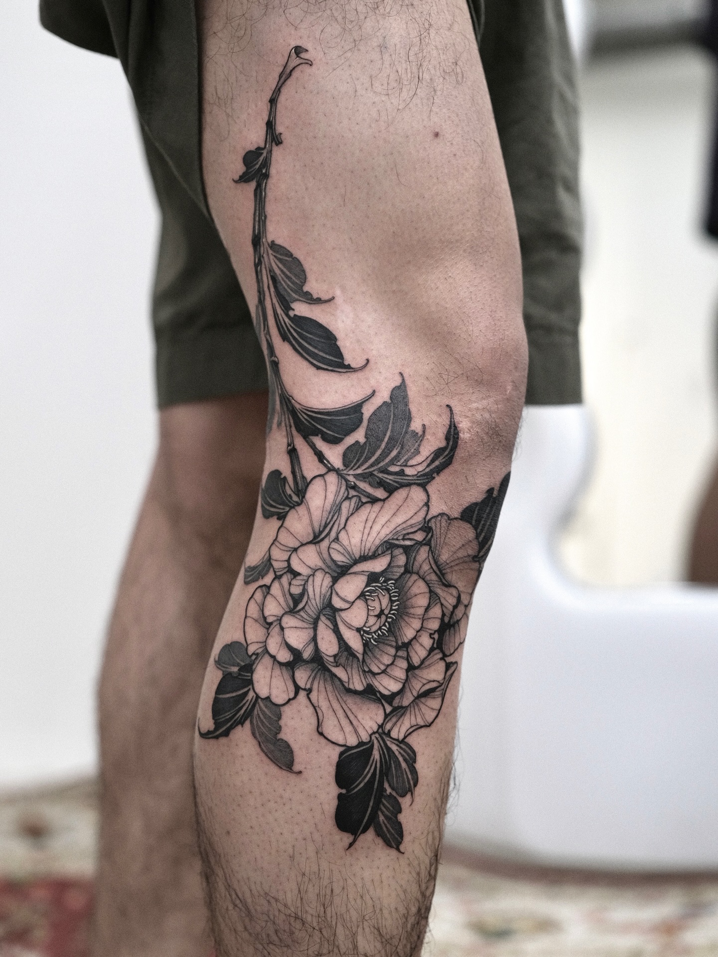 Flower, Rose