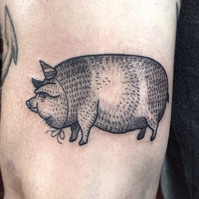 Animal