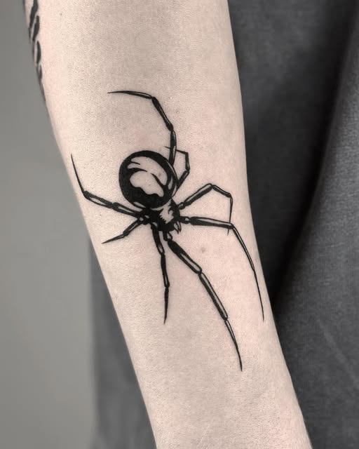 Animal, 거미