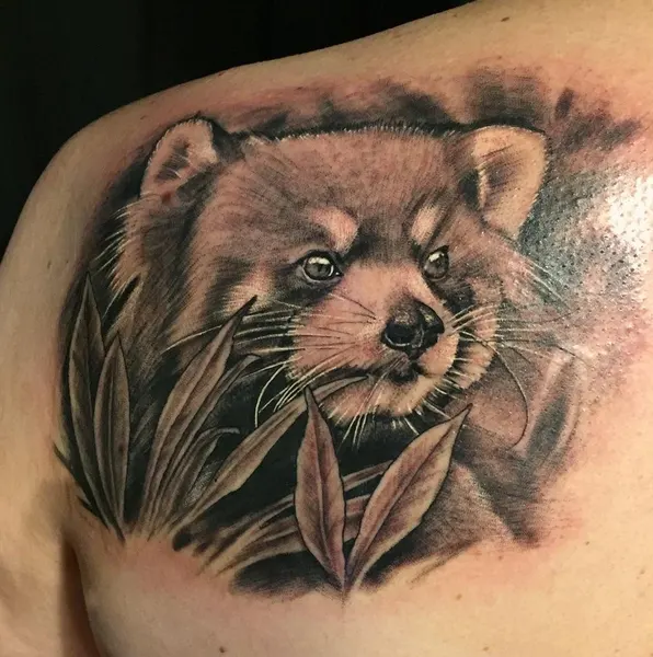 Animal