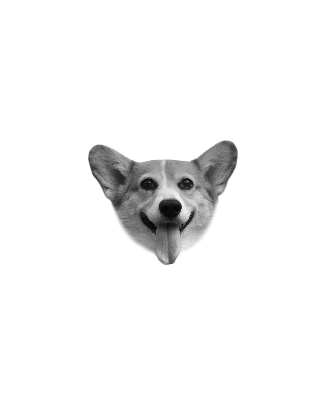 dorok.tattoo